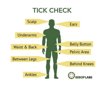 Look out for ticks – they're looking out for you